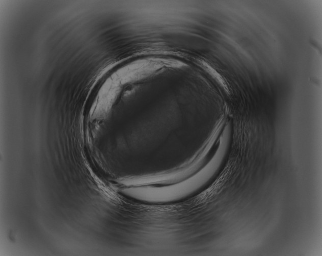 X0000097500988200803201548