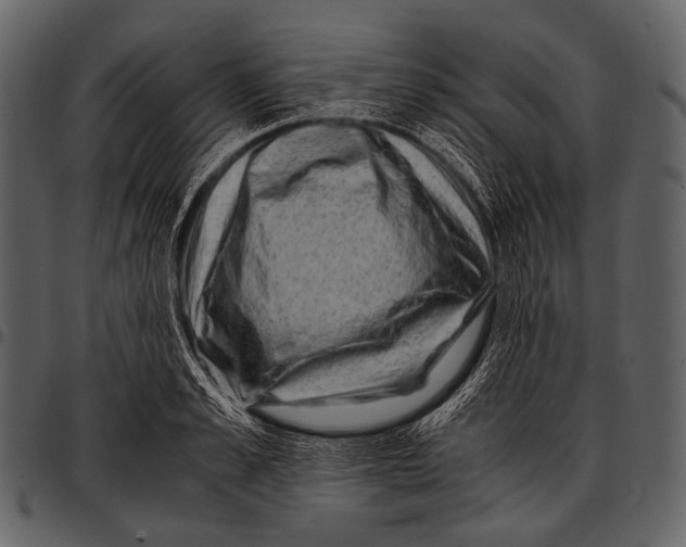 X0000097500989200803201548