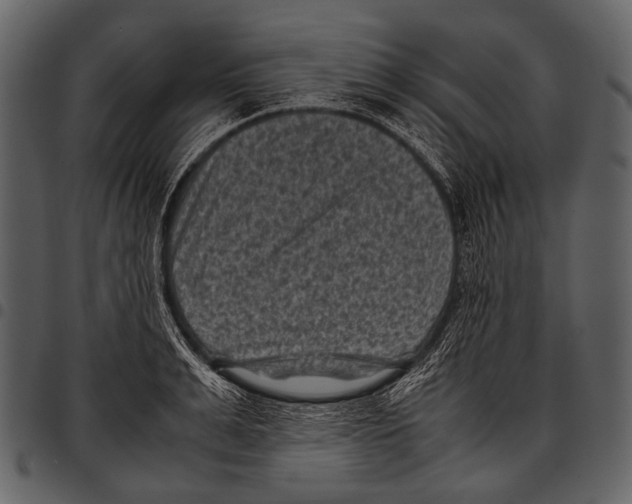 X0000097500991200803201548