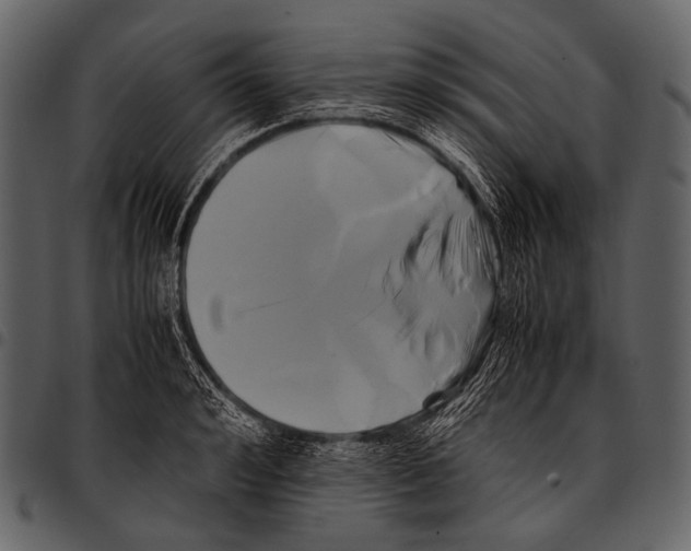 X0000097500992200803201548