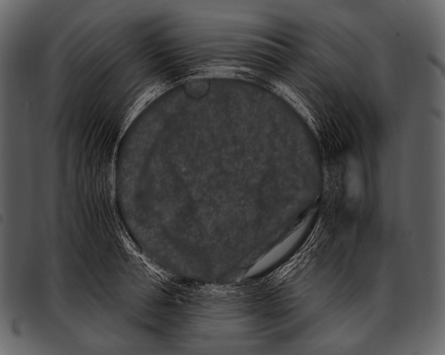 X0000097500994200803201548