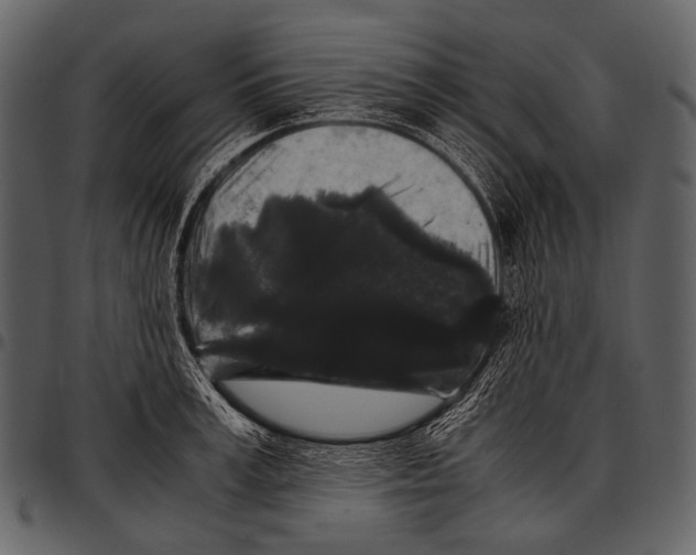 X0000097500995200803201548
