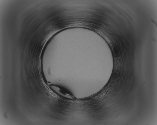 X0000097500996200803201548