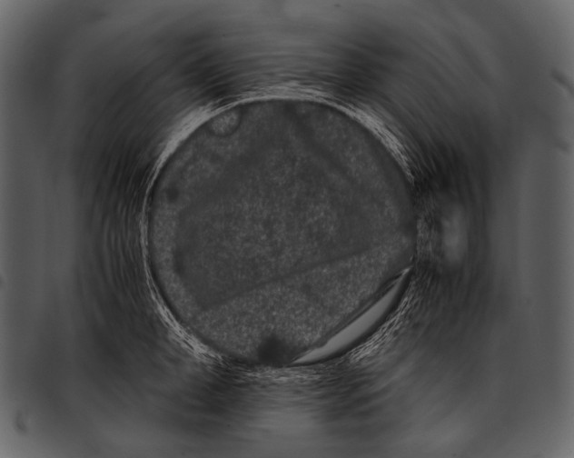 X0000097500998200803201548