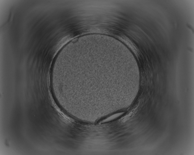 X0000097500999200803201548