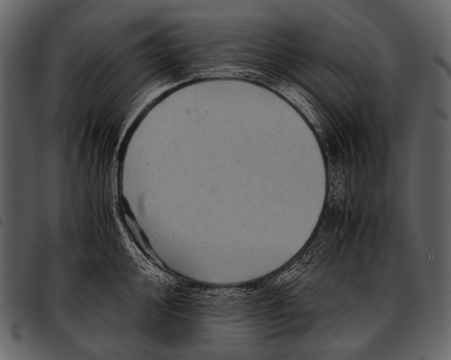 X0000097501000200803201548