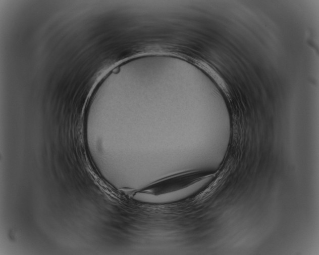 X0000097501004200803201548