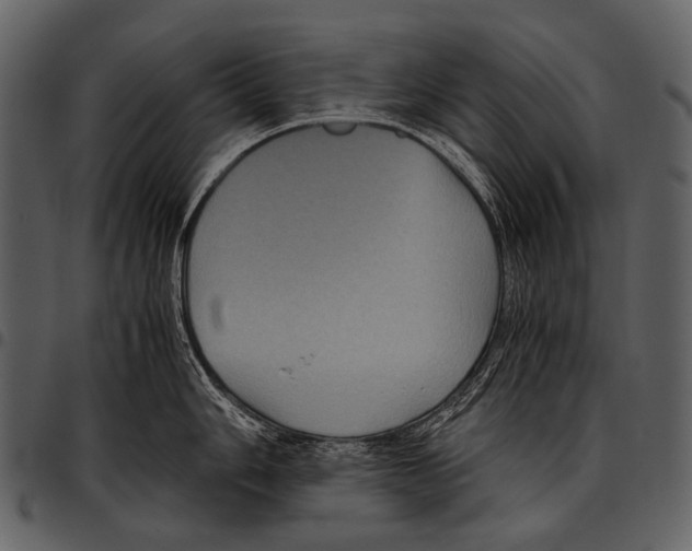 X0000097501006200803201548