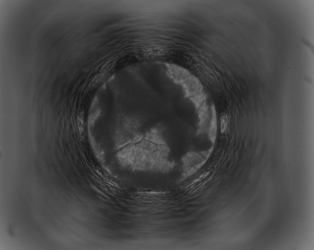 X0000097501011200803201547