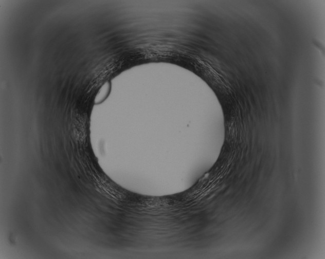 X0000097501012200803201547