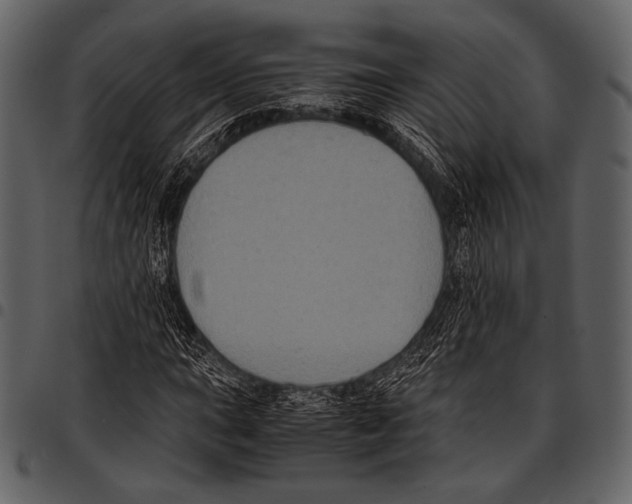X0000097501015200803201547