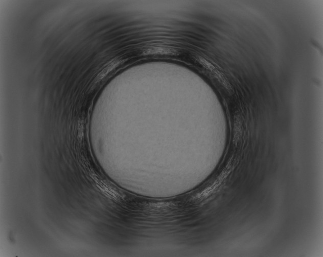 X0000097501017200803201548