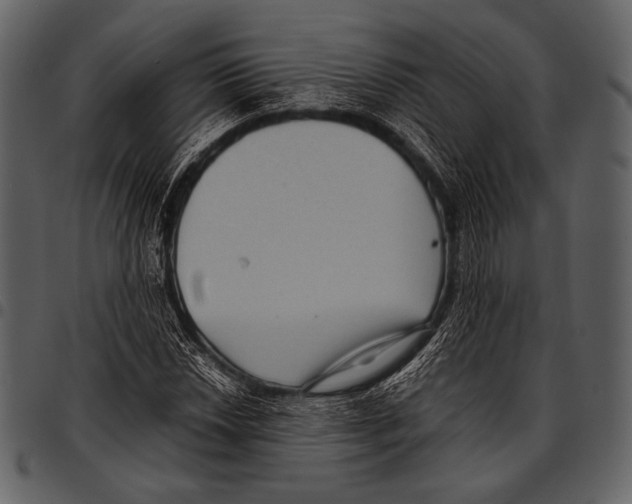 X0000097501018200803201548