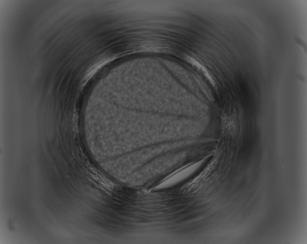X0000097501019200803201548