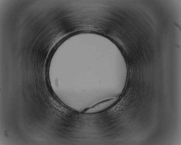 X0000097501020200803201548