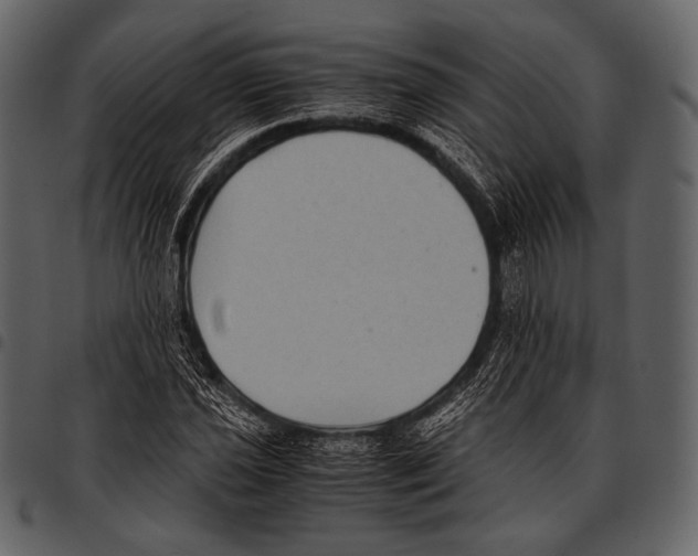 X0000097501021200803201548