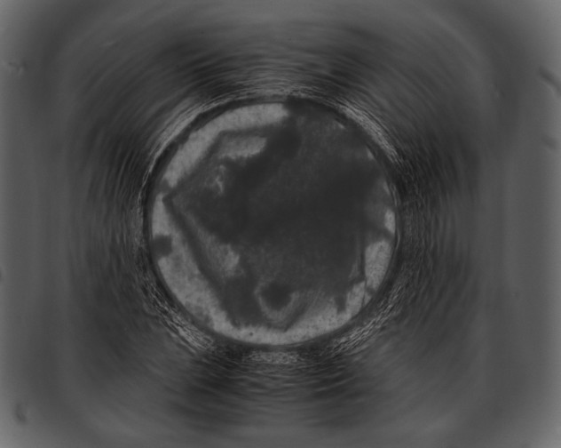X0000097501023200803201548