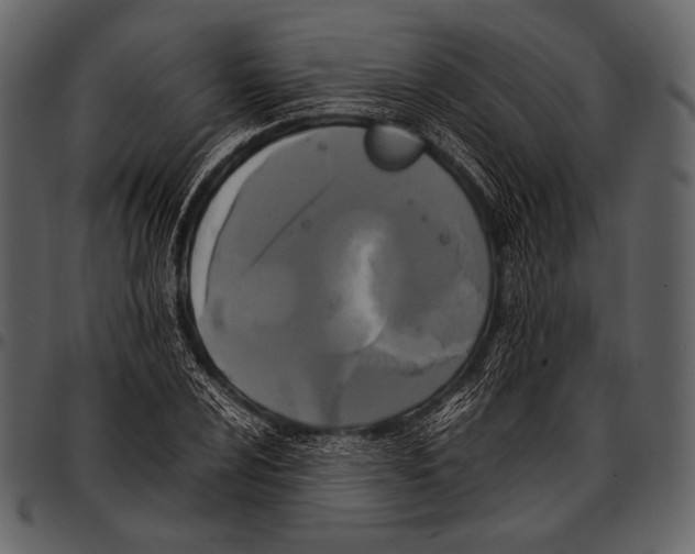 X0000097501024200803201548