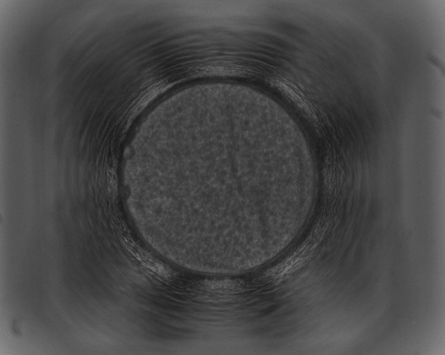 X0000097501025200803201548