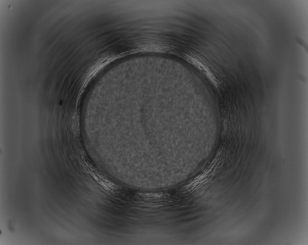 X0000097501027200803201548