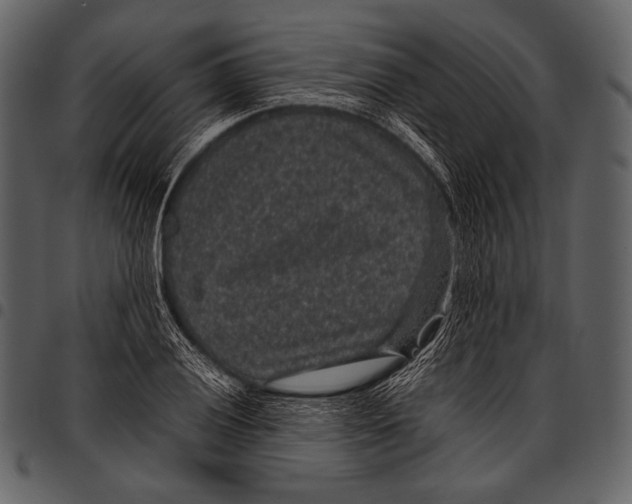 X0000097501028200803201548