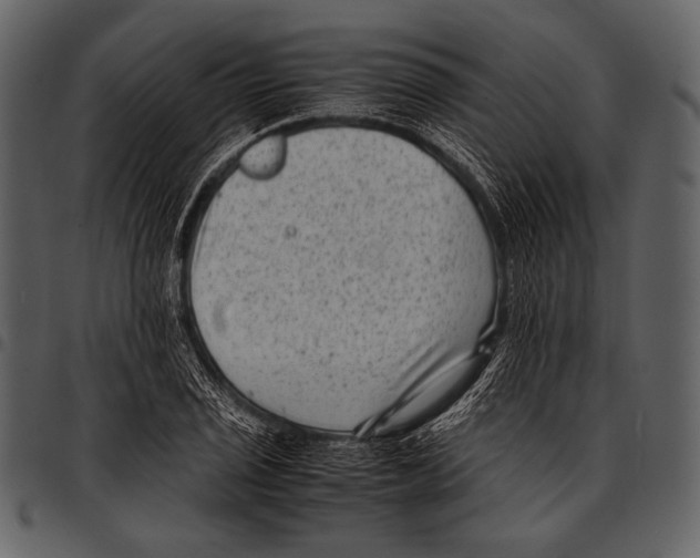 X0000097501029200803201548