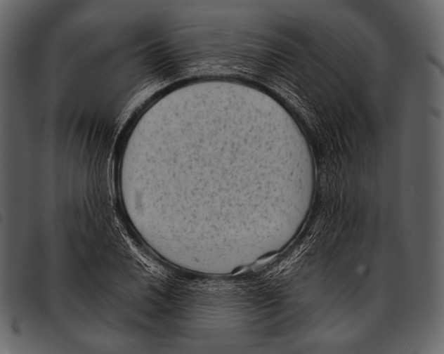 X0000097501030200803201548