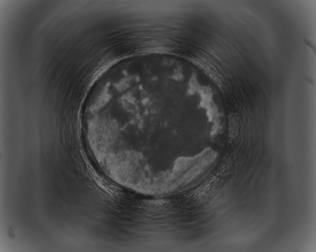 X0000097501031200803201548
