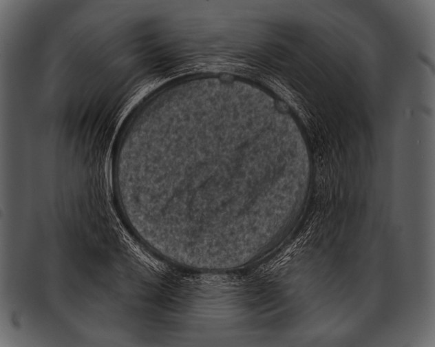 X0000097501032200803201548