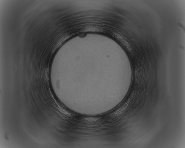 X0000097501033200803201548
