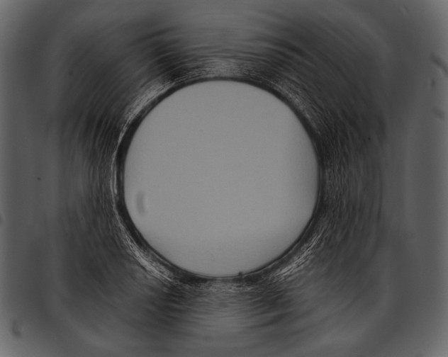 X0000097501034200803201548