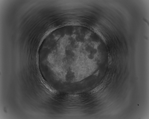 X0000097501035200803201548