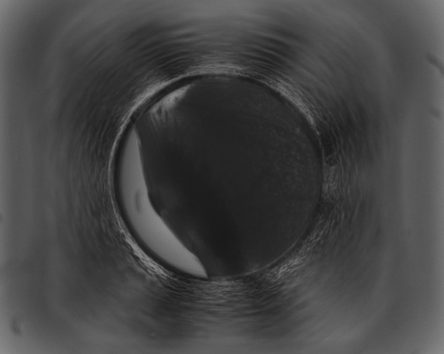 X0000097501037200803201548