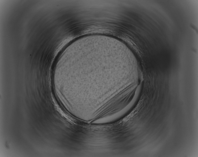 X0000097501038200803201548