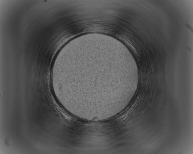 X0000097501040200803201548