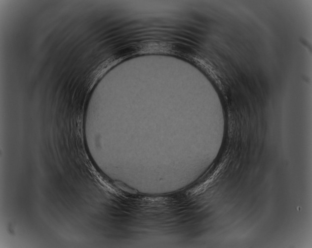 X0000097501041200803201548