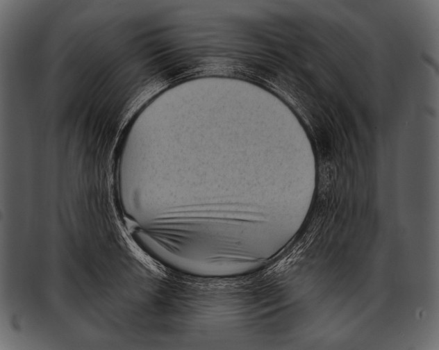 X0000097501042200803201548