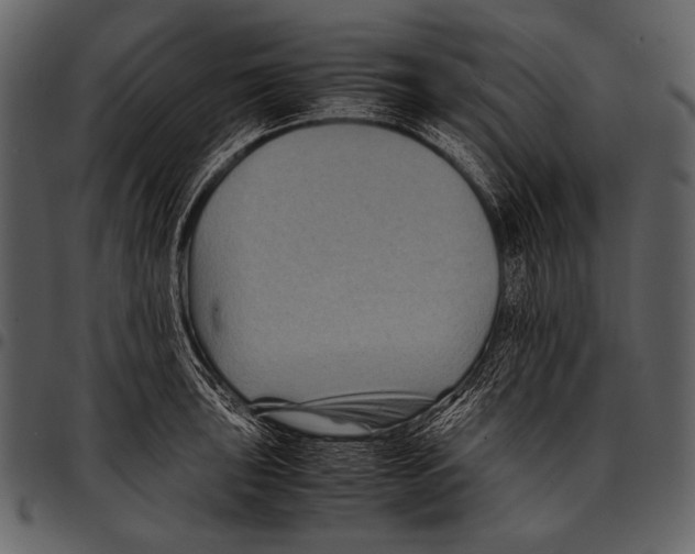 X0000097501043200803201548