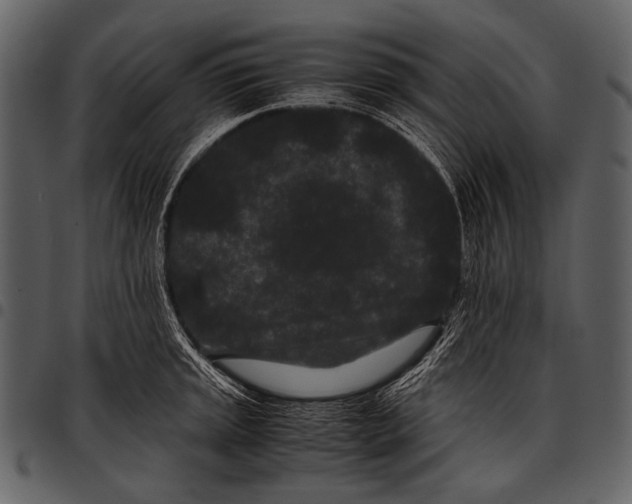 X0000097501045200803201548