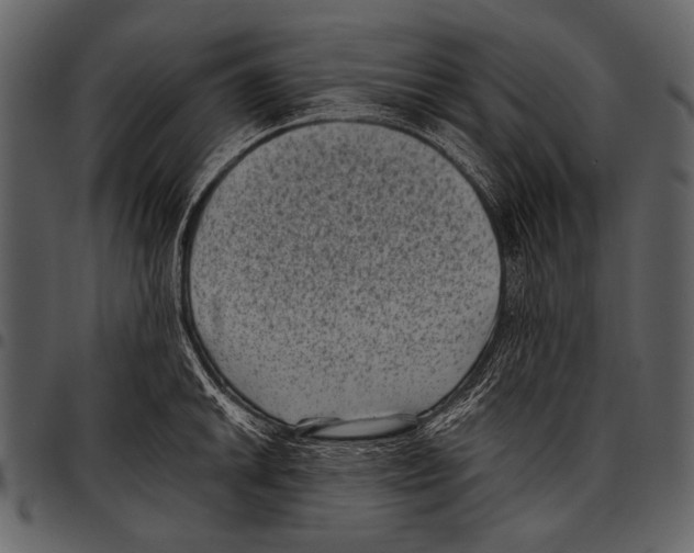 X0000097501046200803201548
