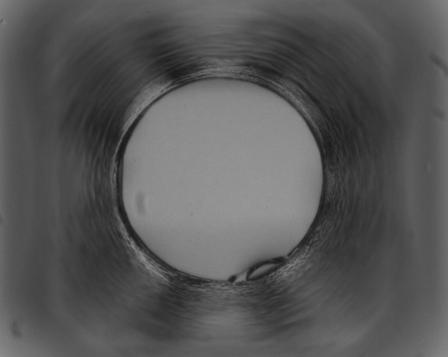X0000097501050200803201548
