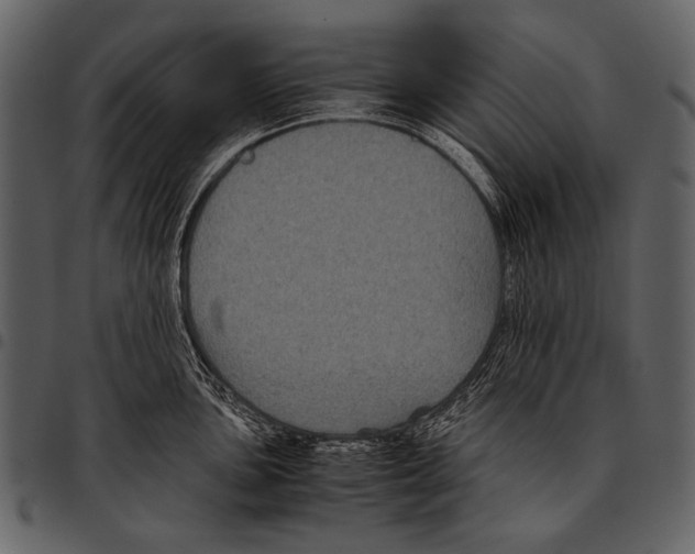 X0000097501051200803201548