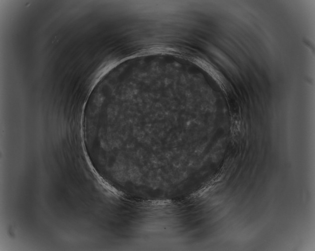X0000097501055200803201548