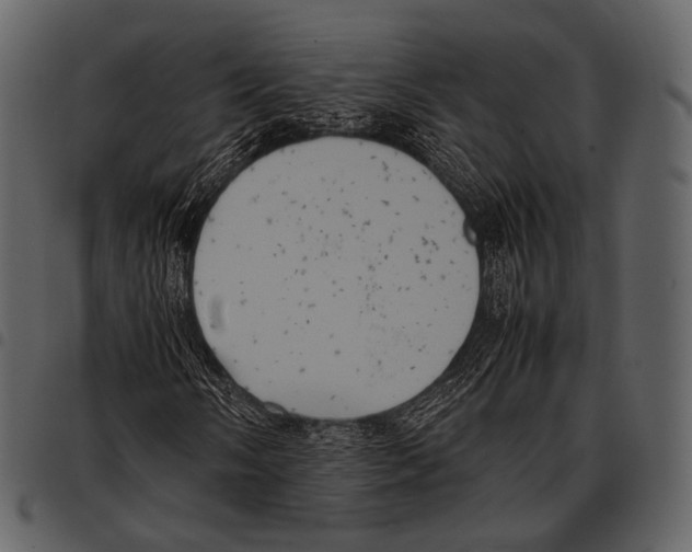 X0000097501058200803201547