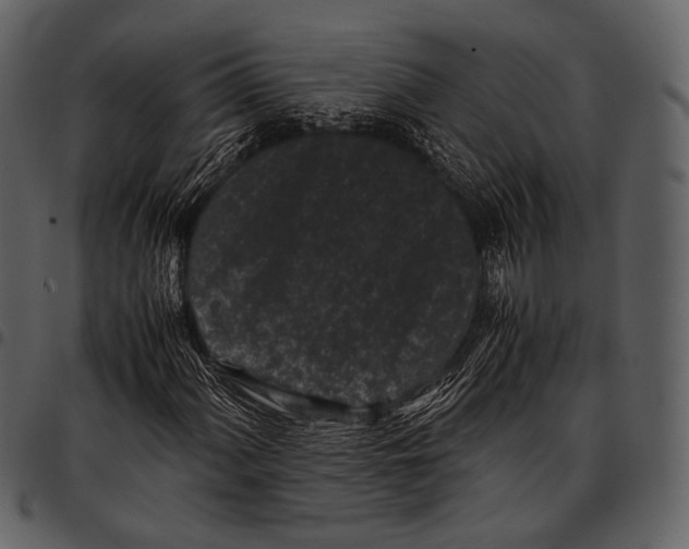X0000097501060200803201547