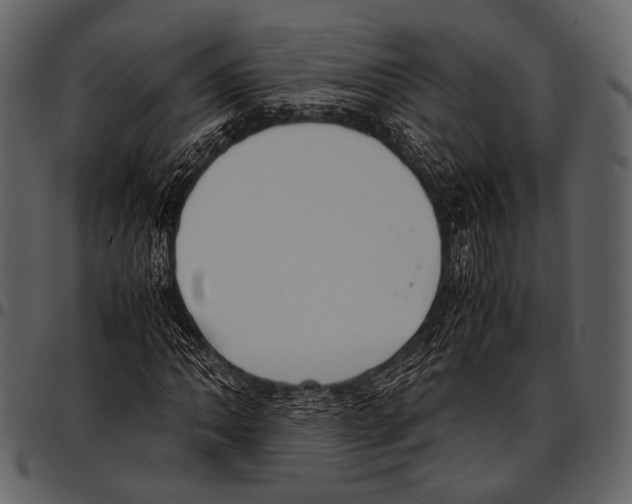 X0000097501062200803201547