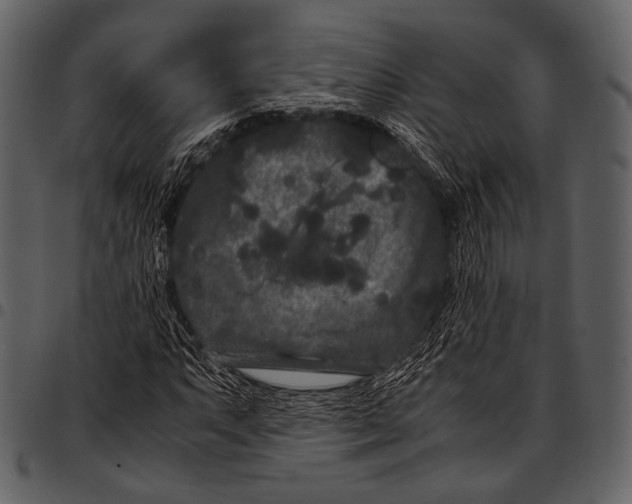 X0000097501063200803201547