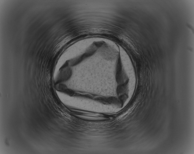 X0000097501065200803201547