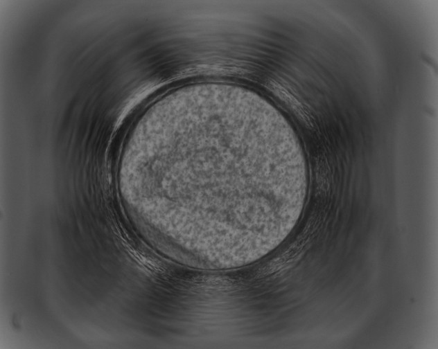 X0000097501070200803201547