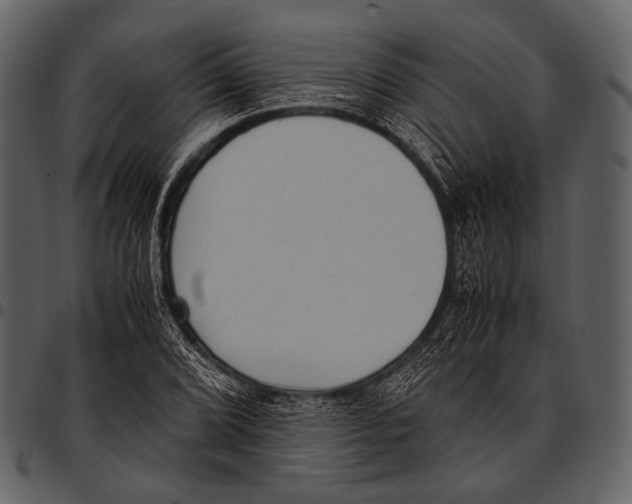 X0000097501072200803201547